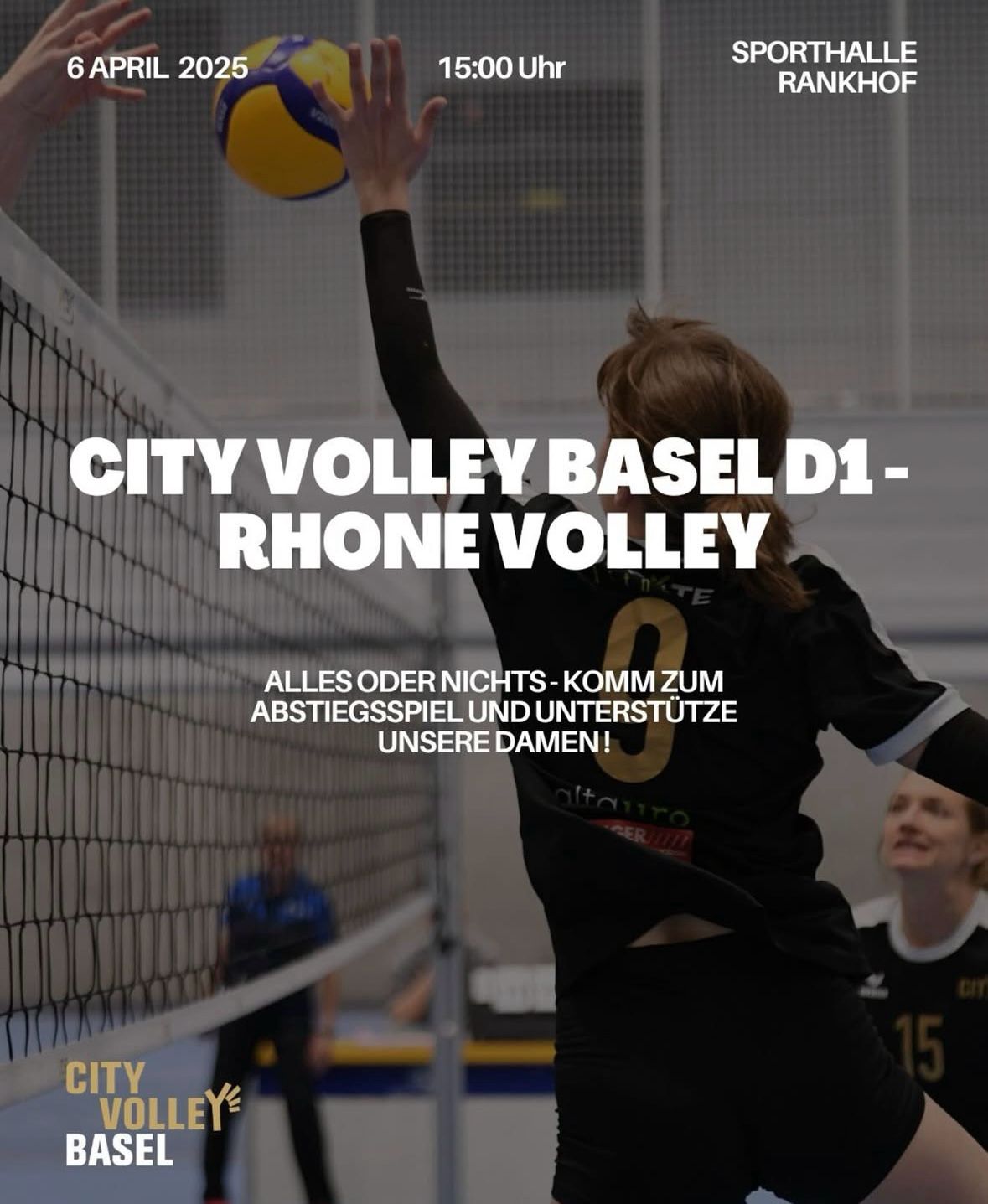 City Volley Basel Volleyball In Basel City Volley Basel Volleyball In Basel